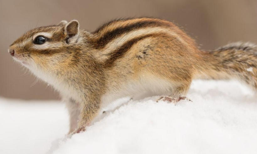 太原乐享科技发展有限公司轮播图1