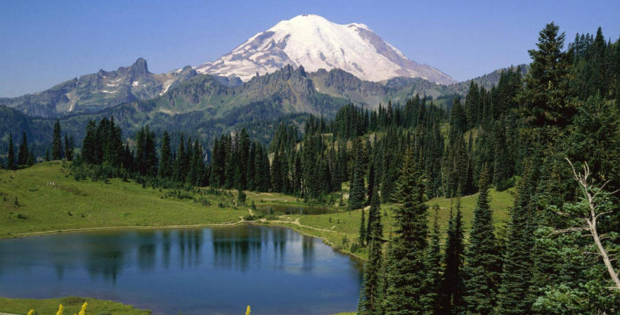 太原乐享科技发展有限公司轮播图3